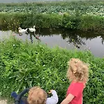 Ferme Au Cœur Du Marais Audomarois *