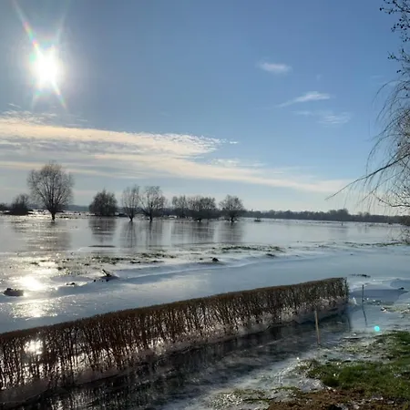 فيلة Ferme Au Coeur Du Marais Audomarois سانت-أومير