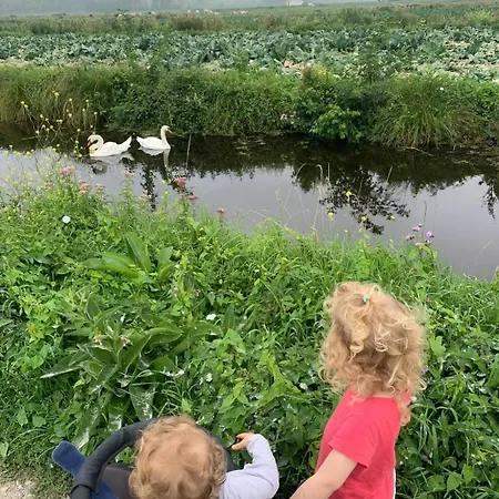 Ferme Au Coeur Du Marais Audomarois *