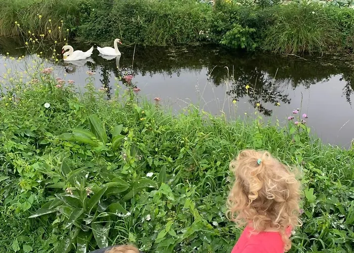 Ferme Au Cœur Du Marais Audomarois *